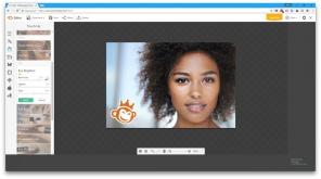 PicMonkey - schnell und funktionale Online-Grafik-Editor